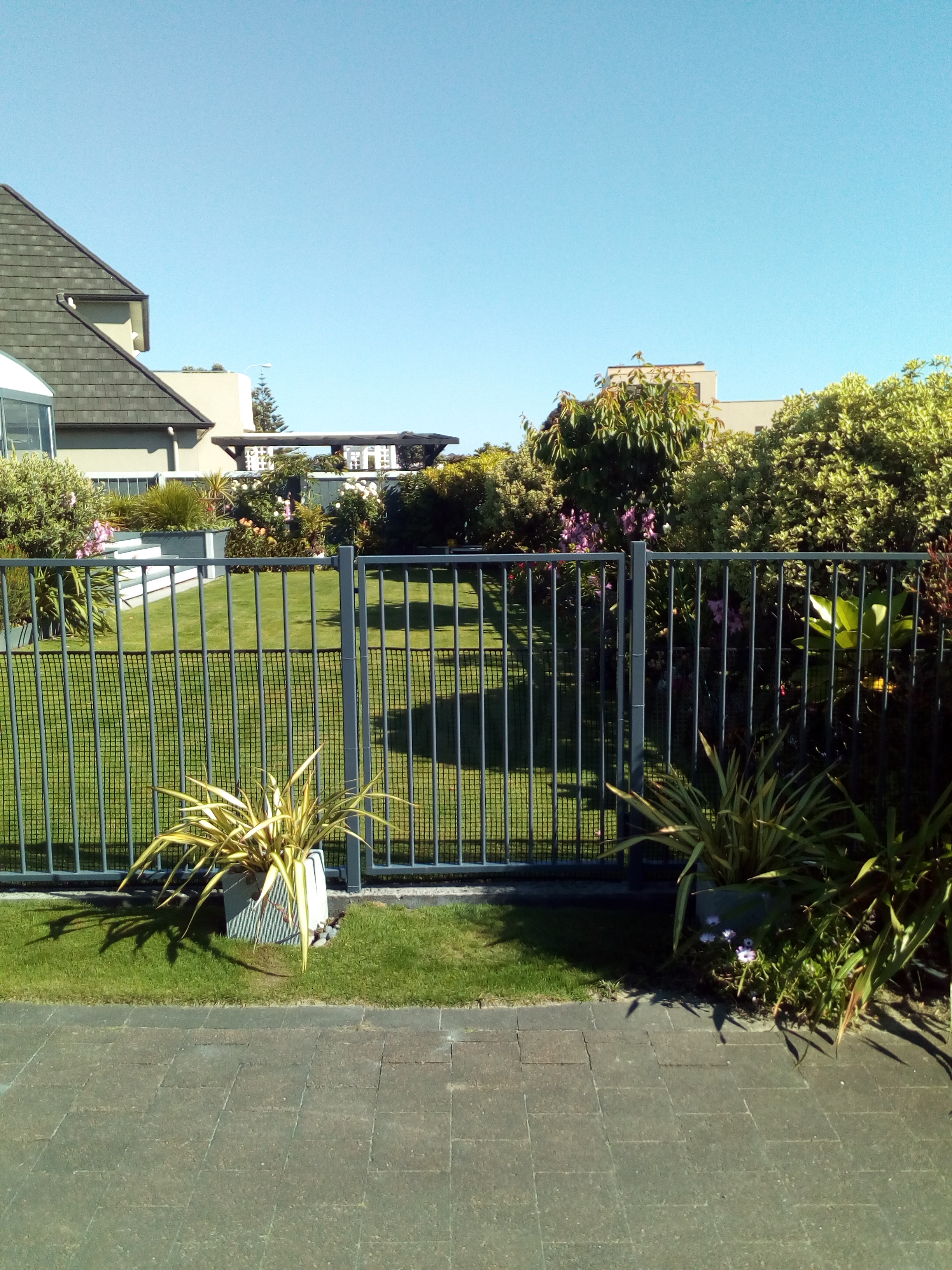 Garden transformation Wellington