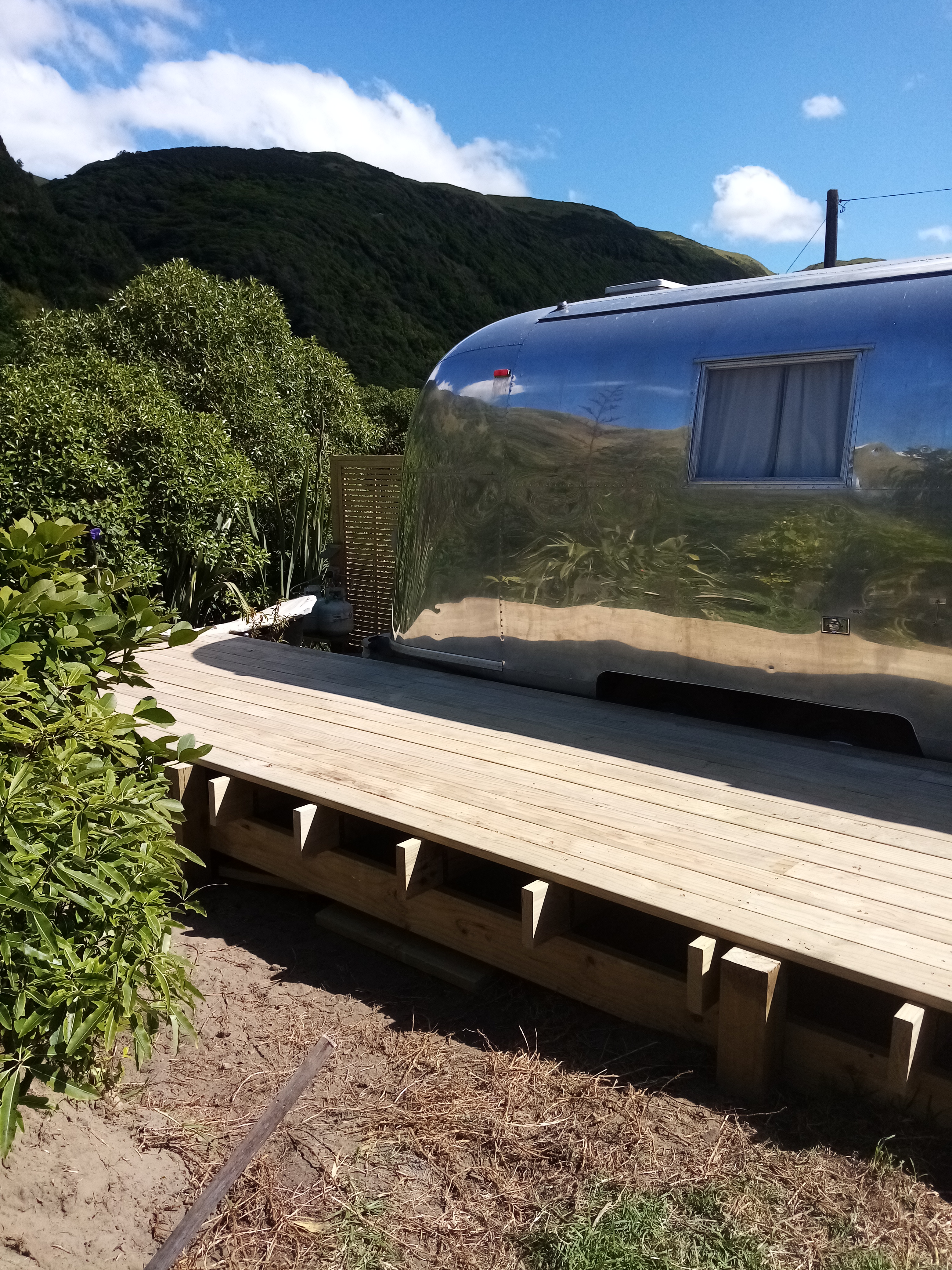 Backyard transformation Wellington