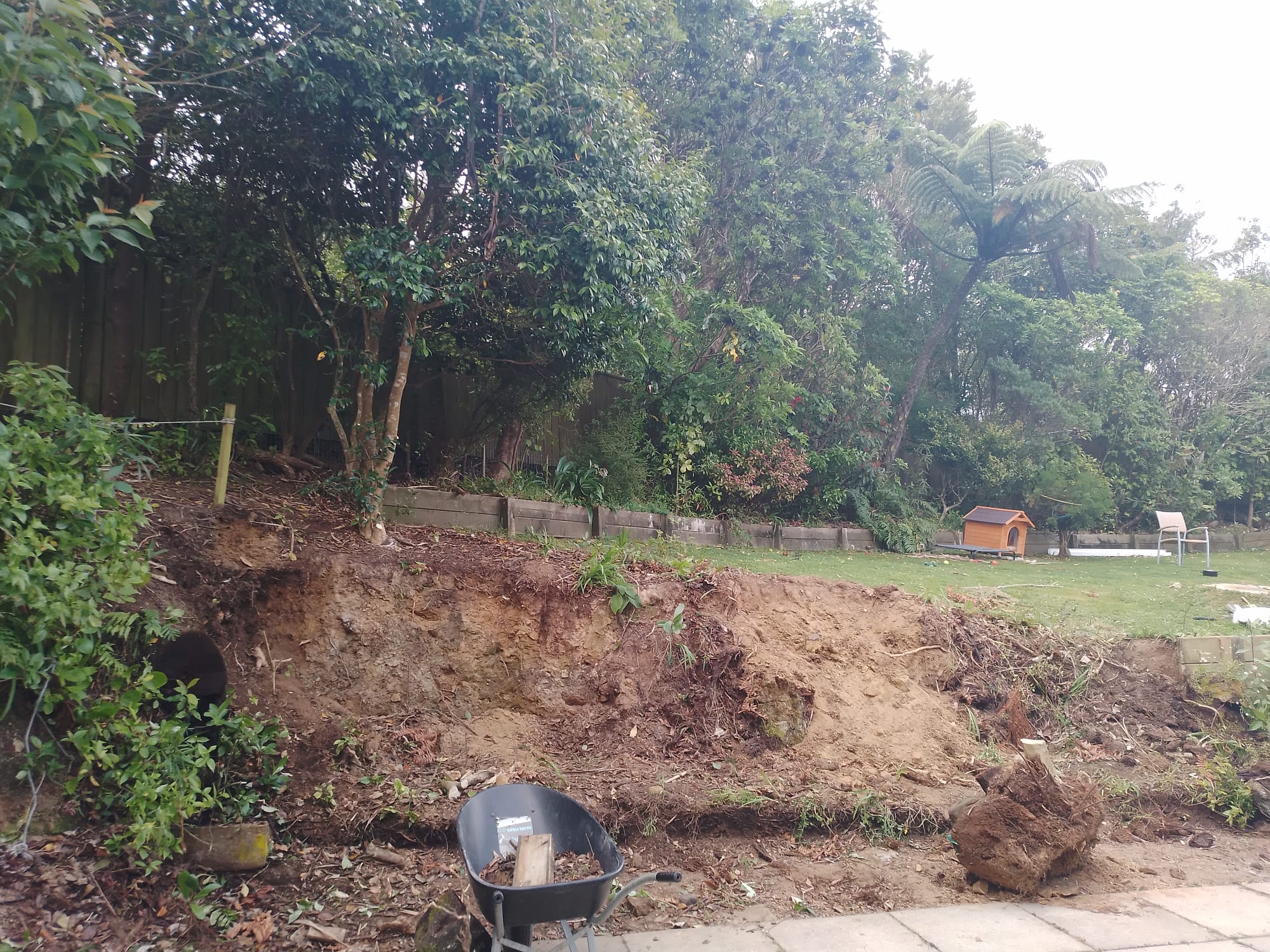 Garden makeover Wellington