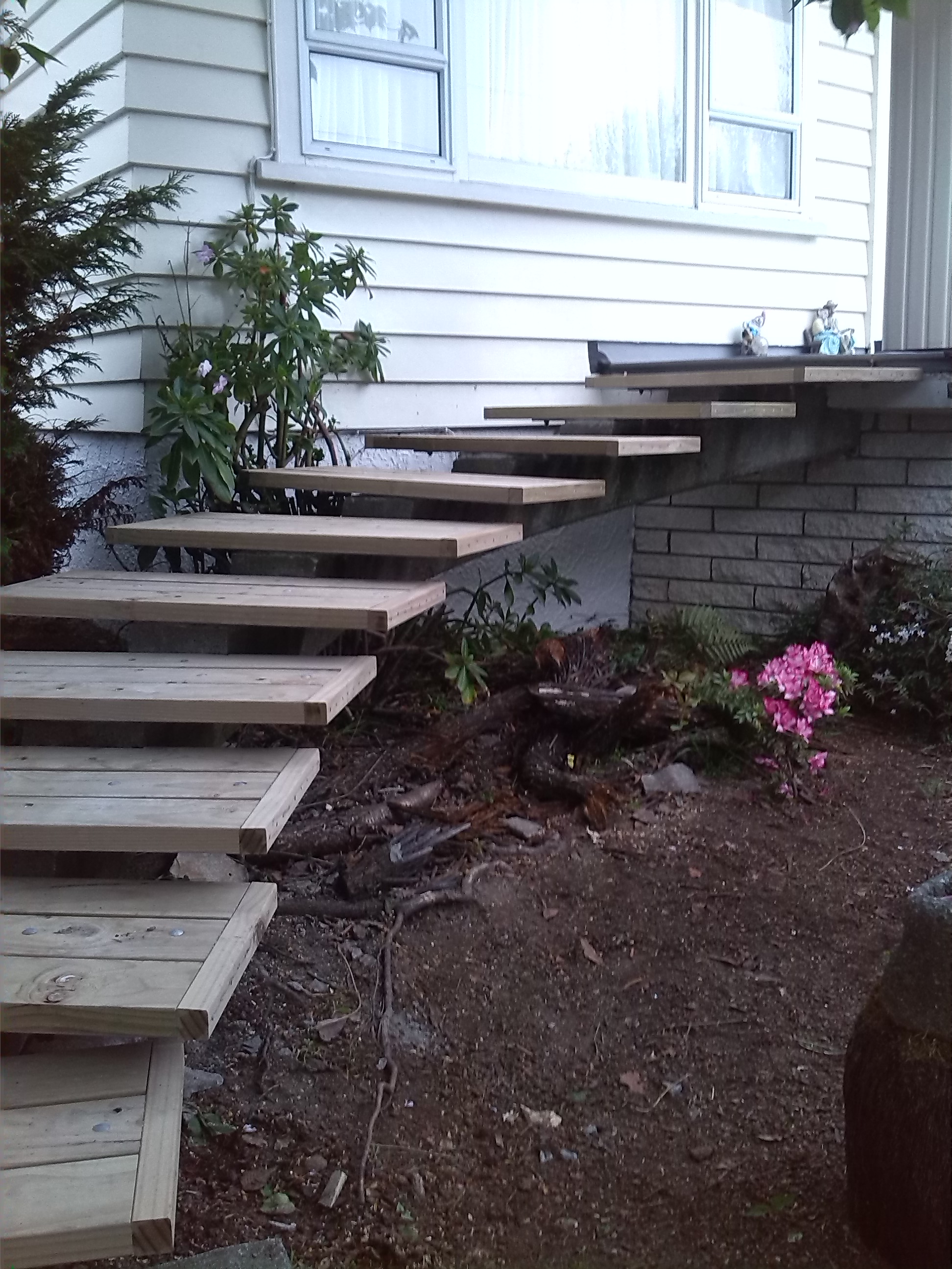 Outdoor area Wellington